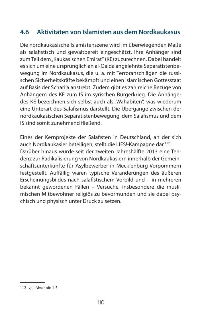 Seite 110 des Verfassungsschutzbericht 2015 Mecklenburg-Vorpommern
