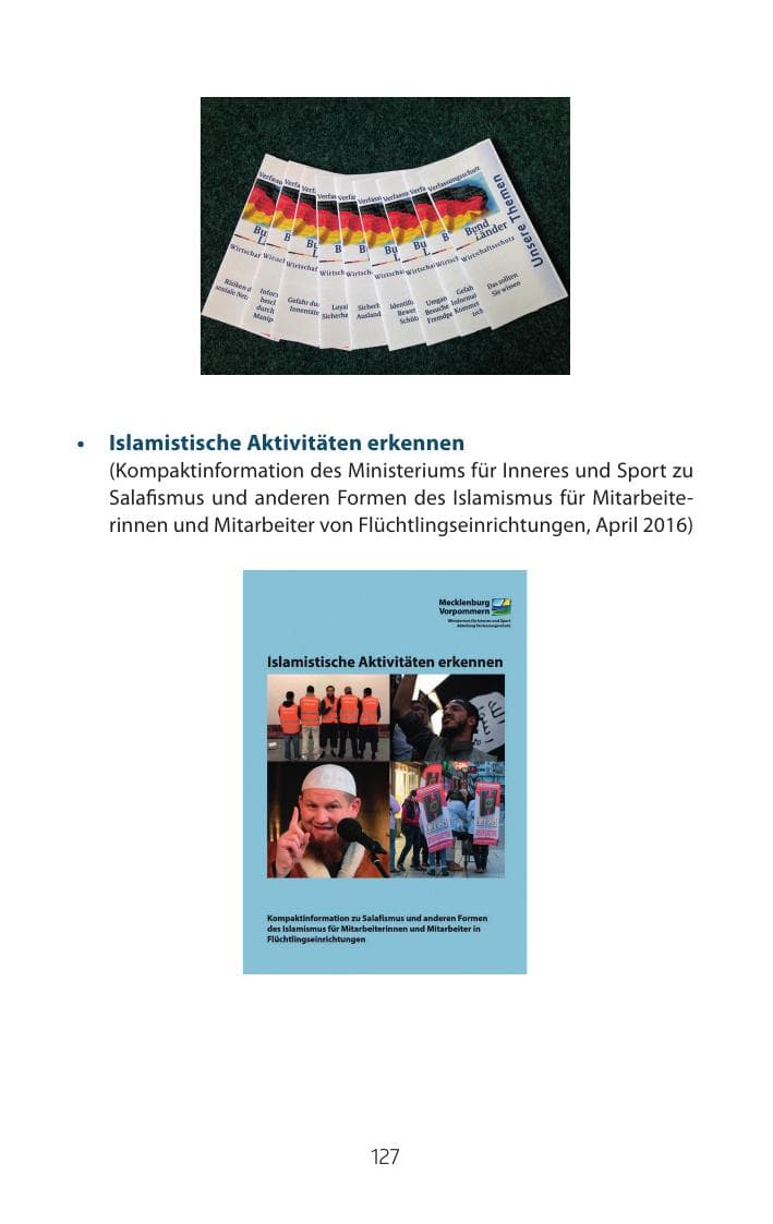 Seite 127 des Verfassungsschutzbericht 2015 Mecklenburg-Vorpommern