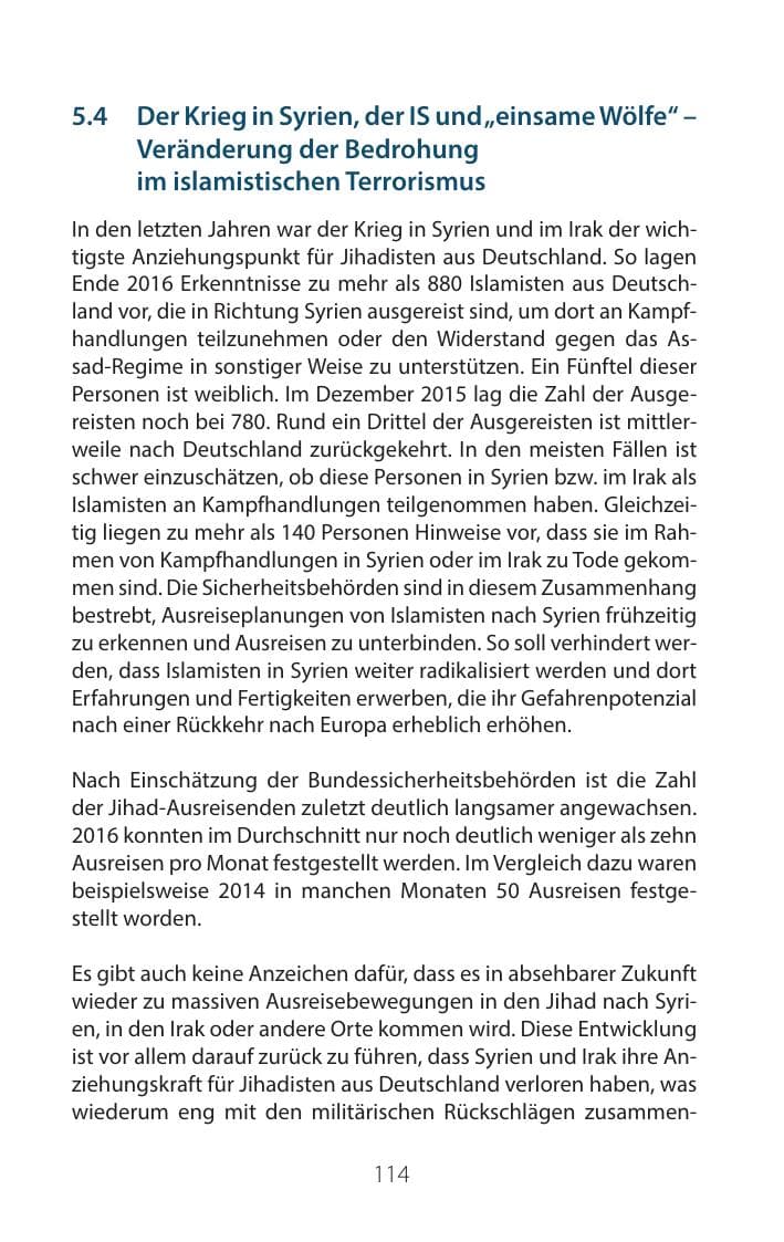 Seite 113 des Verfassungsschutzbericht 2016 Mecklenburg-Vorpommern