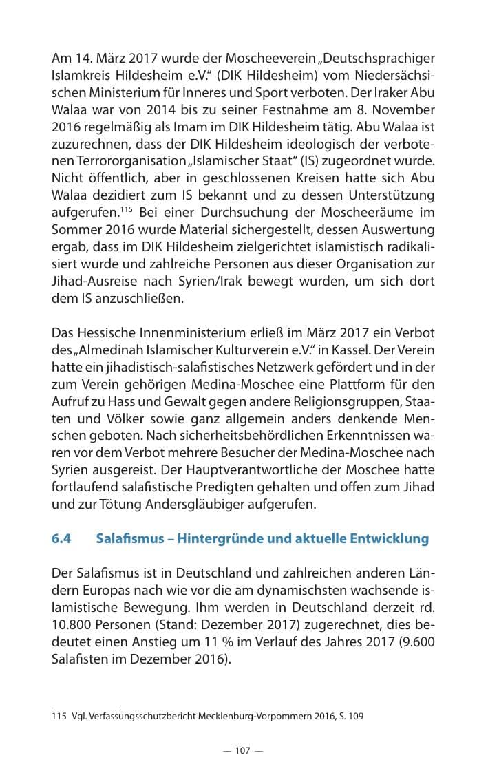 Seite 111 des Verfassungsschutzbericht 2017 Mecklenburg-Vorpommern