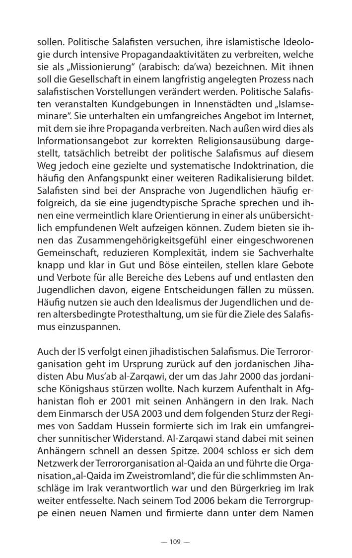 Seite 113 des Verfassungsschutzbericht 2017 Mecklenburg-Vorpommern