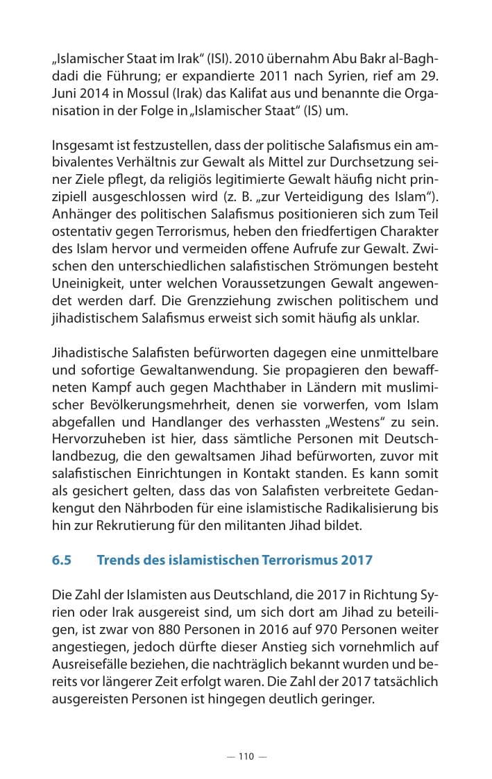 Seite 114 des Verfassungsschutzbericht 2017 Mecklenburg-Vorpommern