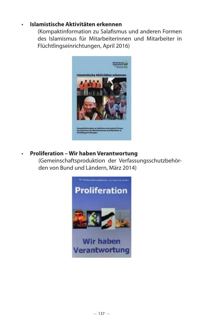 Seite 141 des Verfassungsschutzbericht 2017 Mecklenburg-Vorpommern