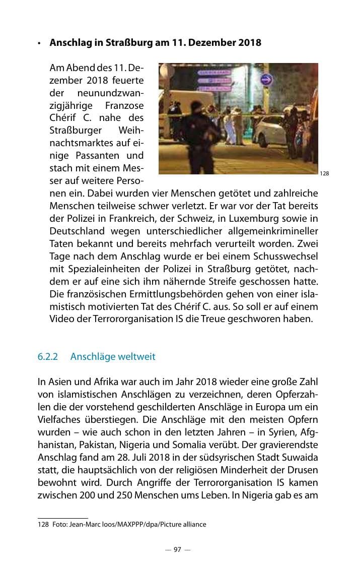 Seite 101 des Verfassungsschutzbericht 2018 Mecklenburg-Vorpommern