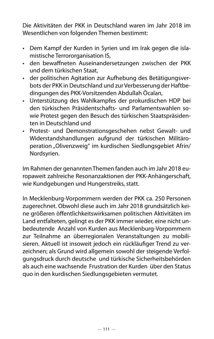 Seite 115 des Verfassungsschutzbericht 2018 Mecklenburg-Vorpommern