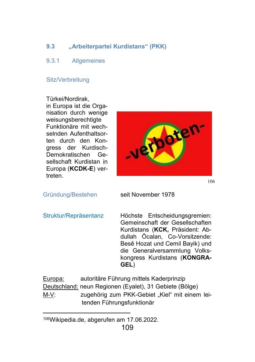 Seite 113 des Verfassungsschutzbericht 2021 Mecklenburg-Vorpommern