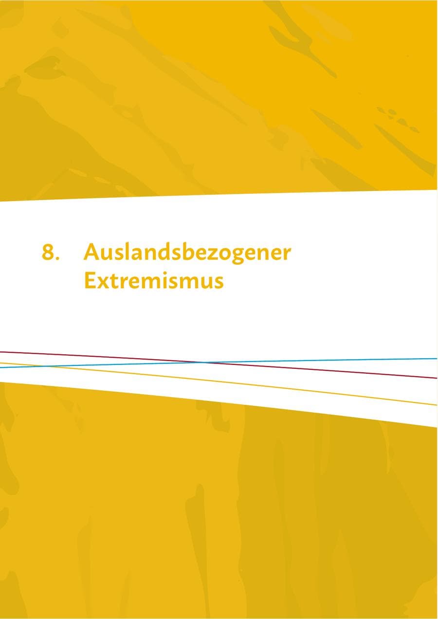Seite 95 des Verfassungsschutzbericht 2023 Mecklenburg-Vorpommern