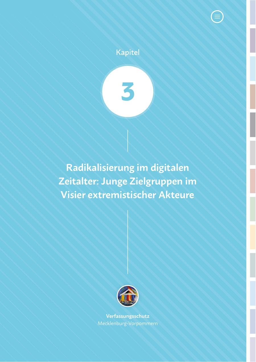Seite 33 des Verfassungsschutzbericht 2024 Mecklenburg-Vorpommern