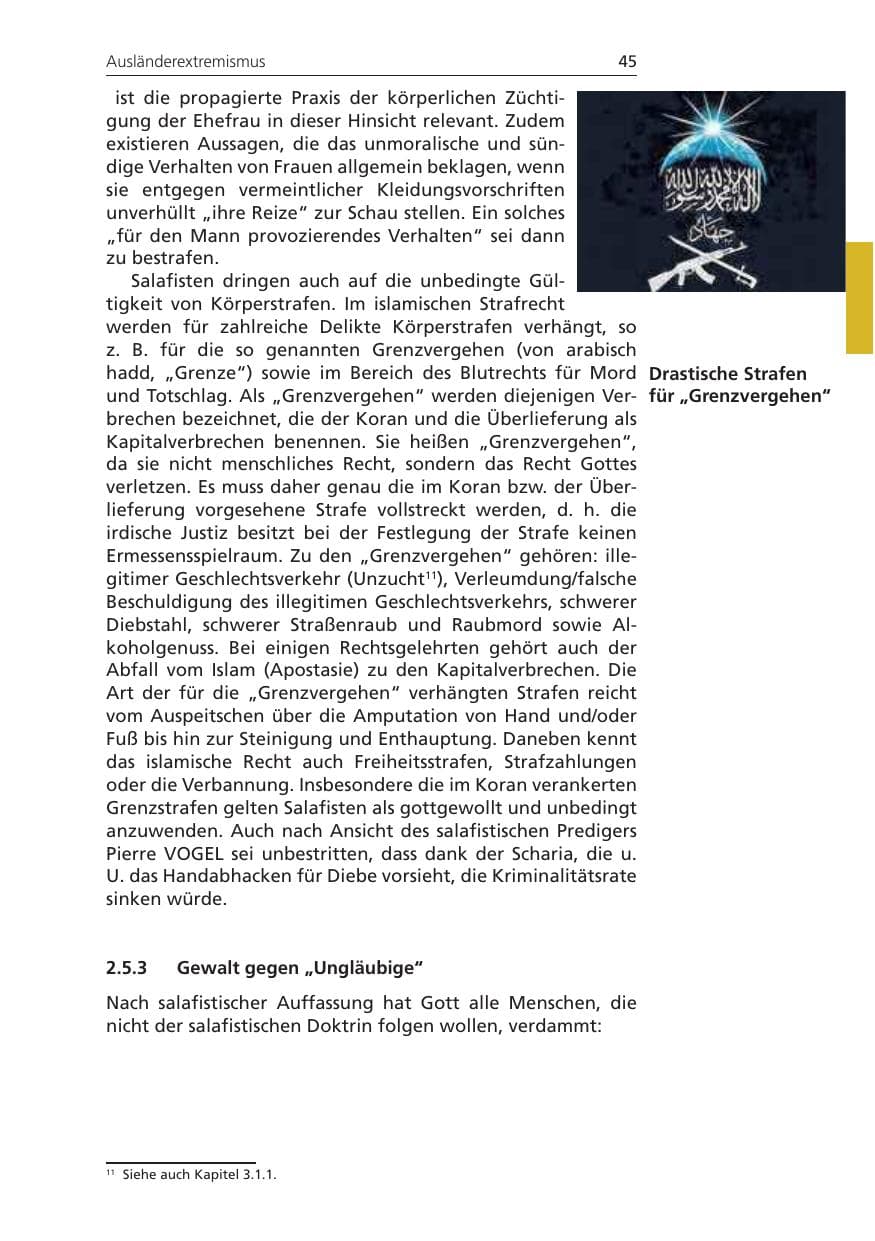 Seite 45 des Verfassungsschutzbericht 2010 Niedersachsen