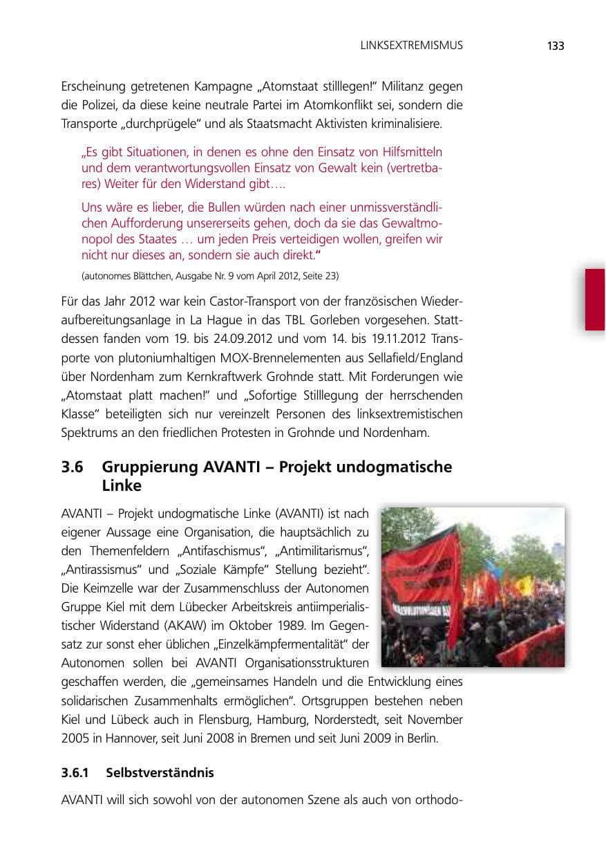 Seite 133 des Verfassungsschutzbericht 2012 Niedersachsen