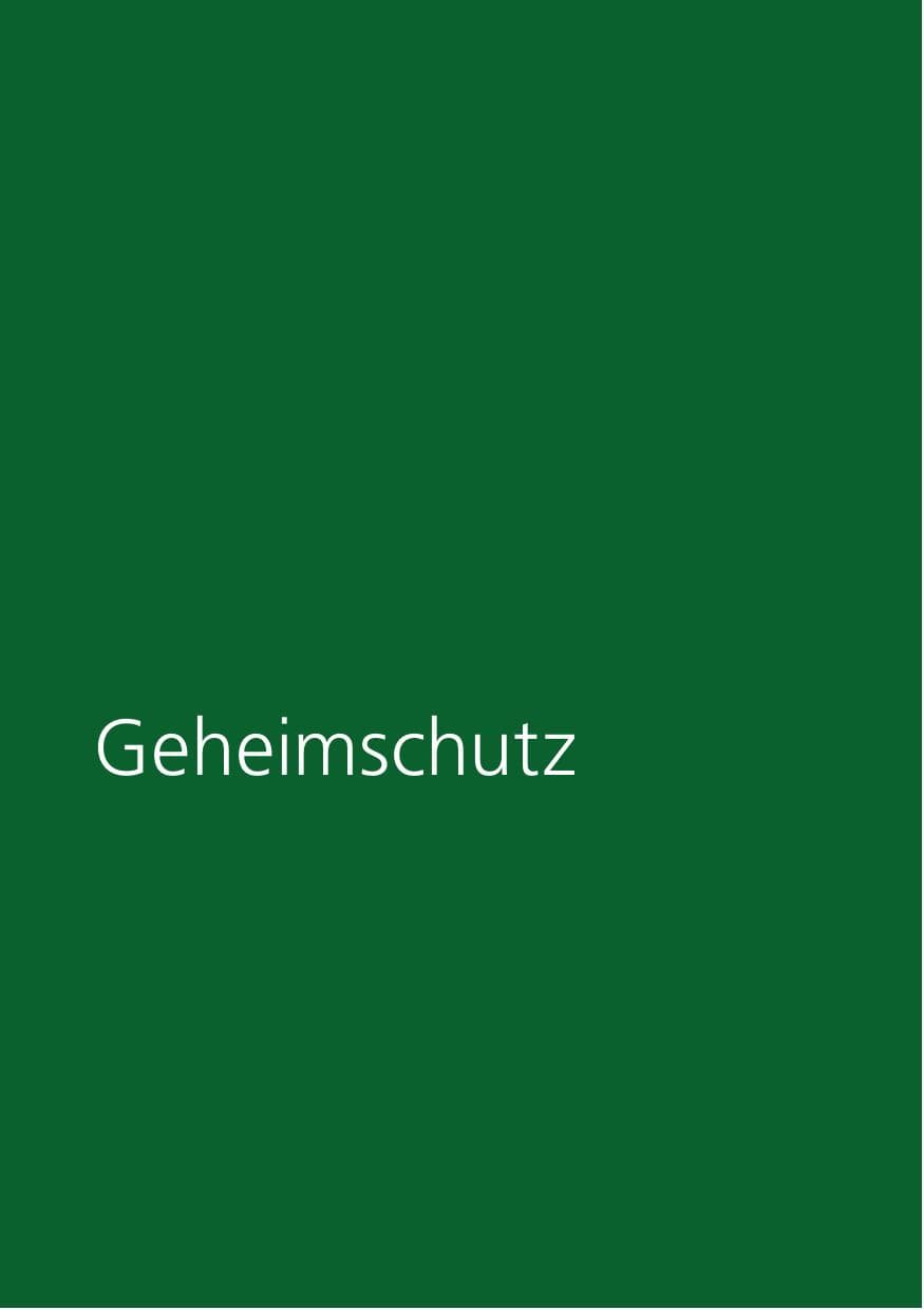 Seite 249 des Verfassungsschutzbericht 2015 Niedersachsen