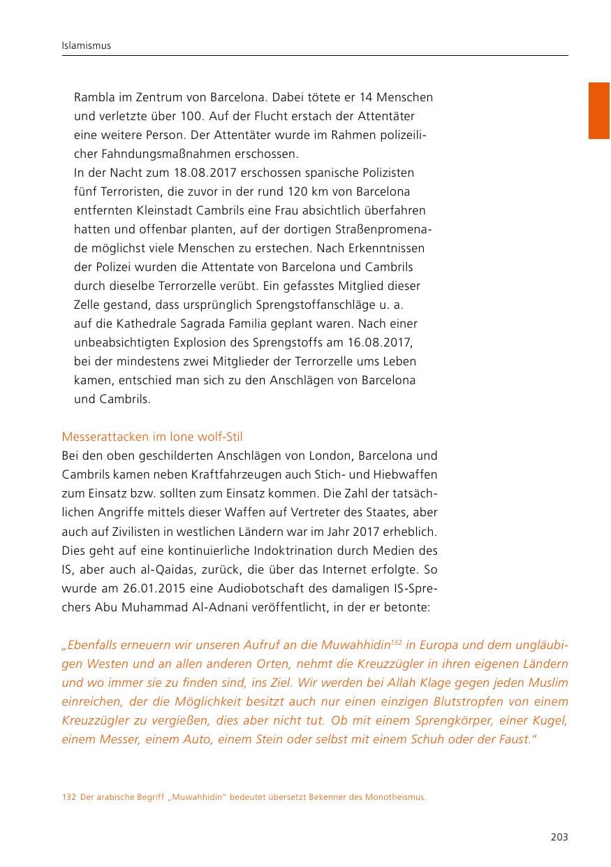 Seite 205 des Verfassungsschutzbericht 2017 Niedersachsen