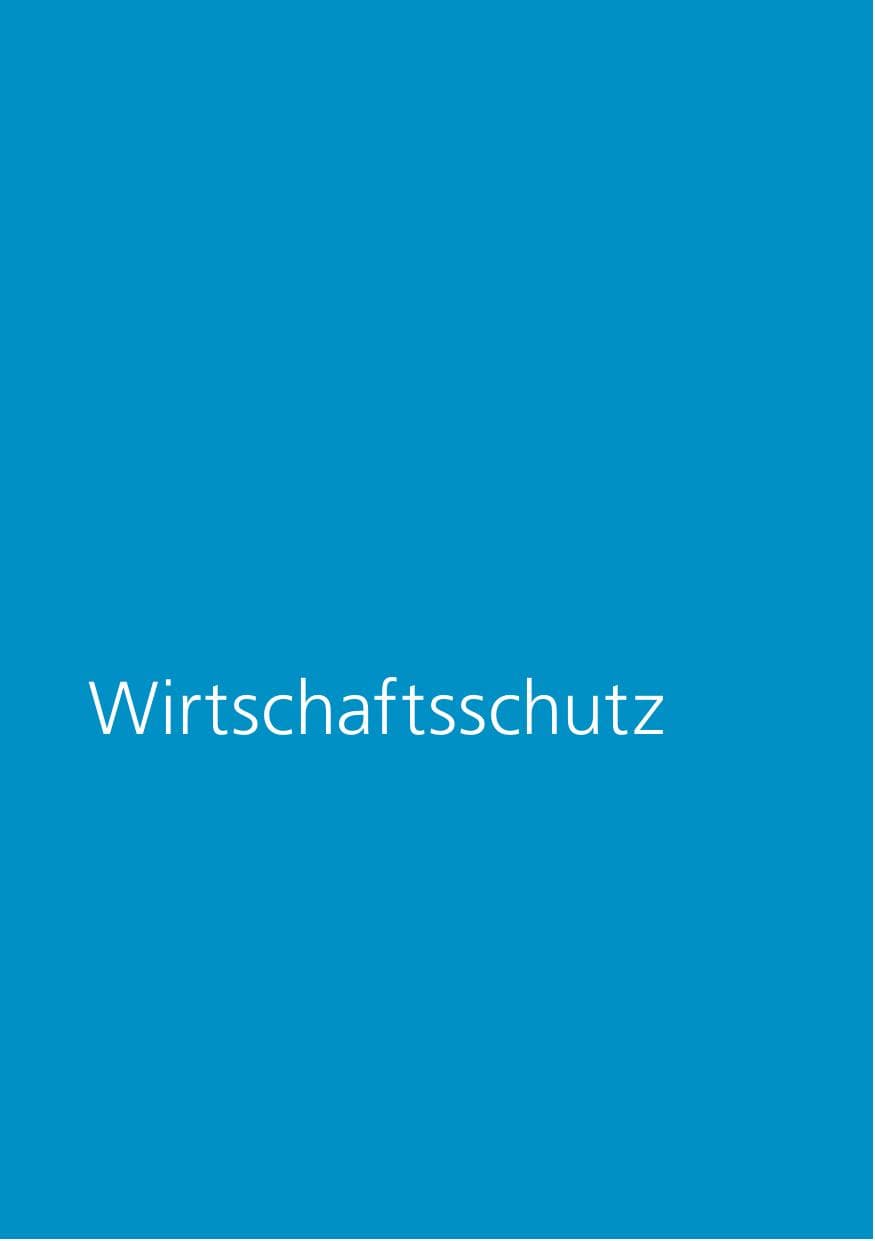 Seite 289 des Verfassungsschutzbericht 2017 Niedersachsen