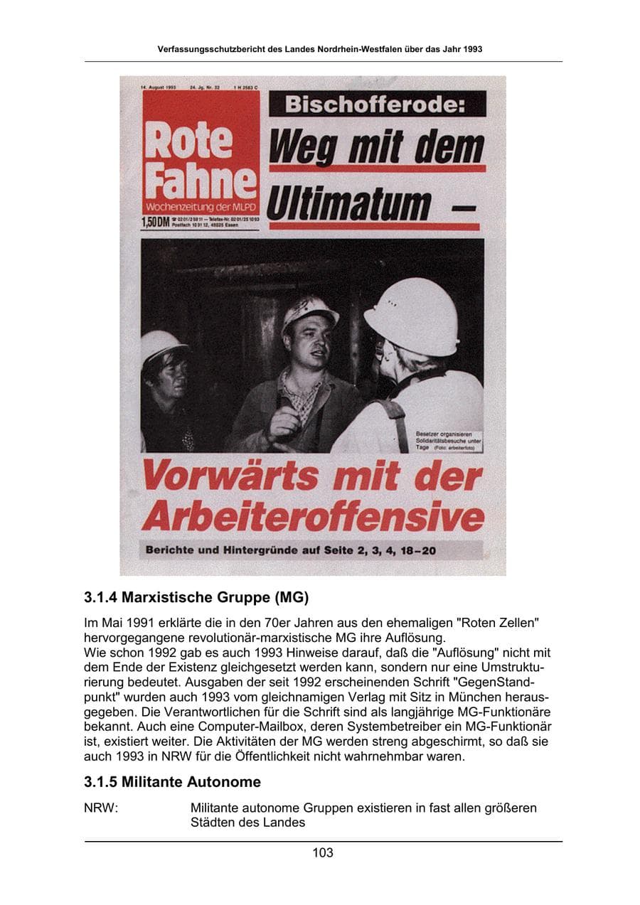 Seite 103 des Verfassungsschutzbericht 1993 Nordrhein-Westfalen