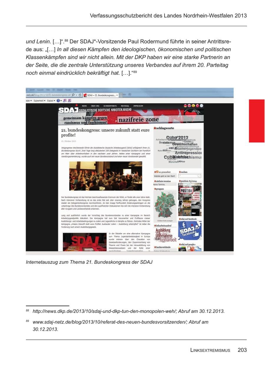 Seite 205 des Verfassungsschutzbericht 2013 Nordrhein-Westfalen