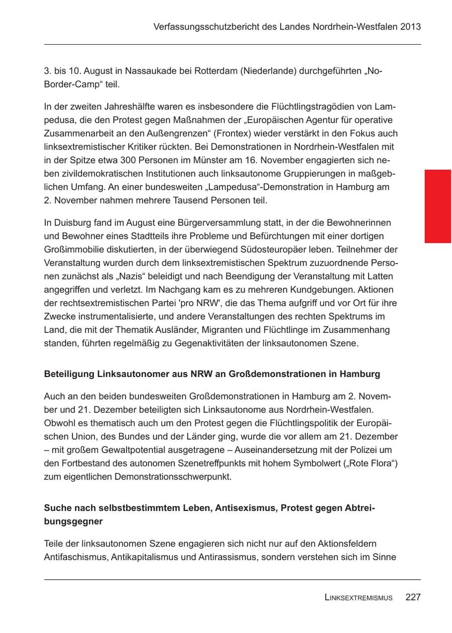 Seite 229 des Verfassungsschutzbericht 2013 Nordrhein-Westfalen