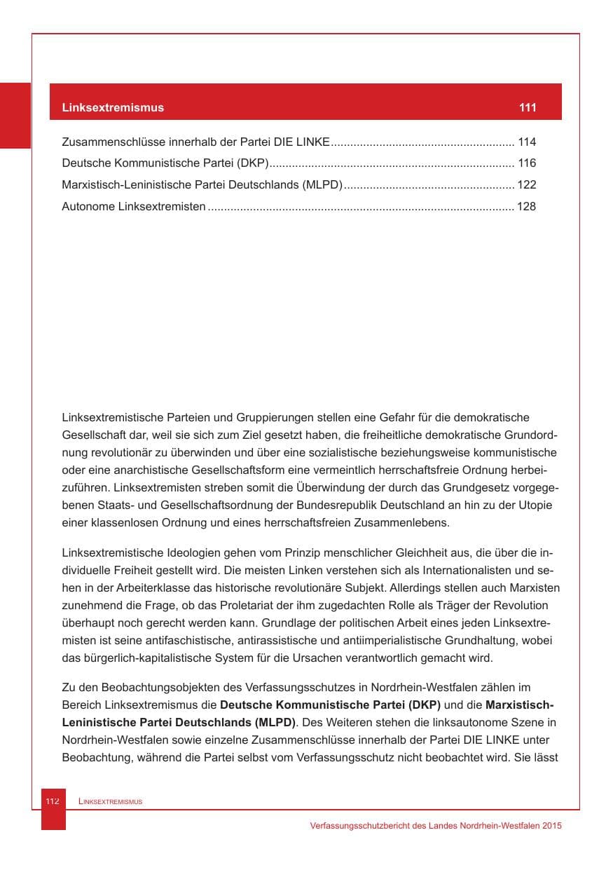 Seite 113 des Verfassungsschutzbericht 2015 Nordrhein-Westfalen