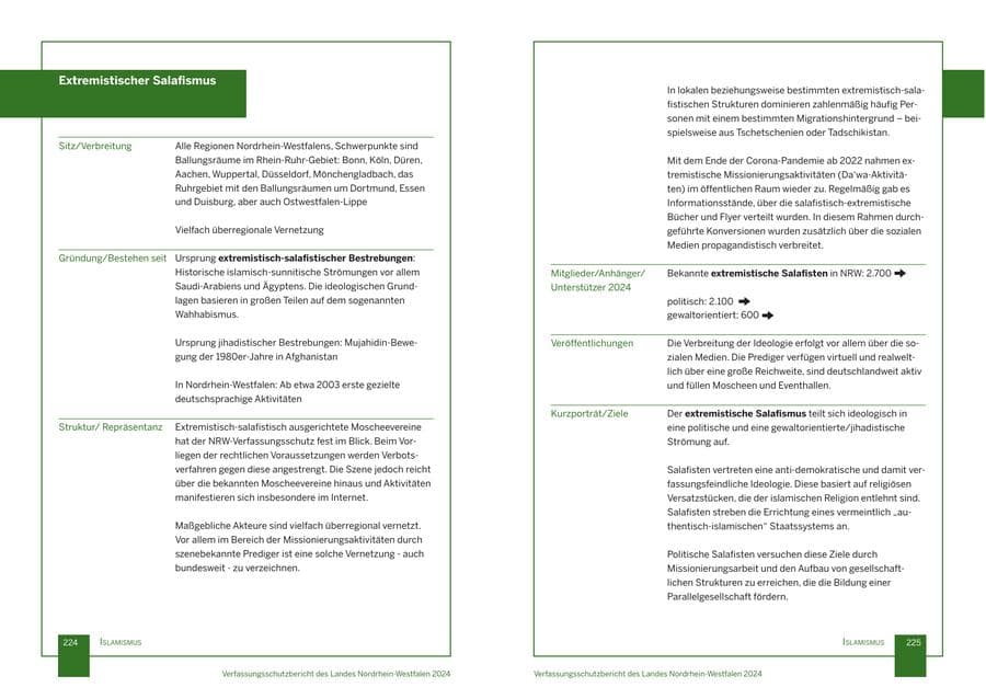 Seite 113 des Verfassungsschutzbericht 2024 Nordrhein-Westfalen