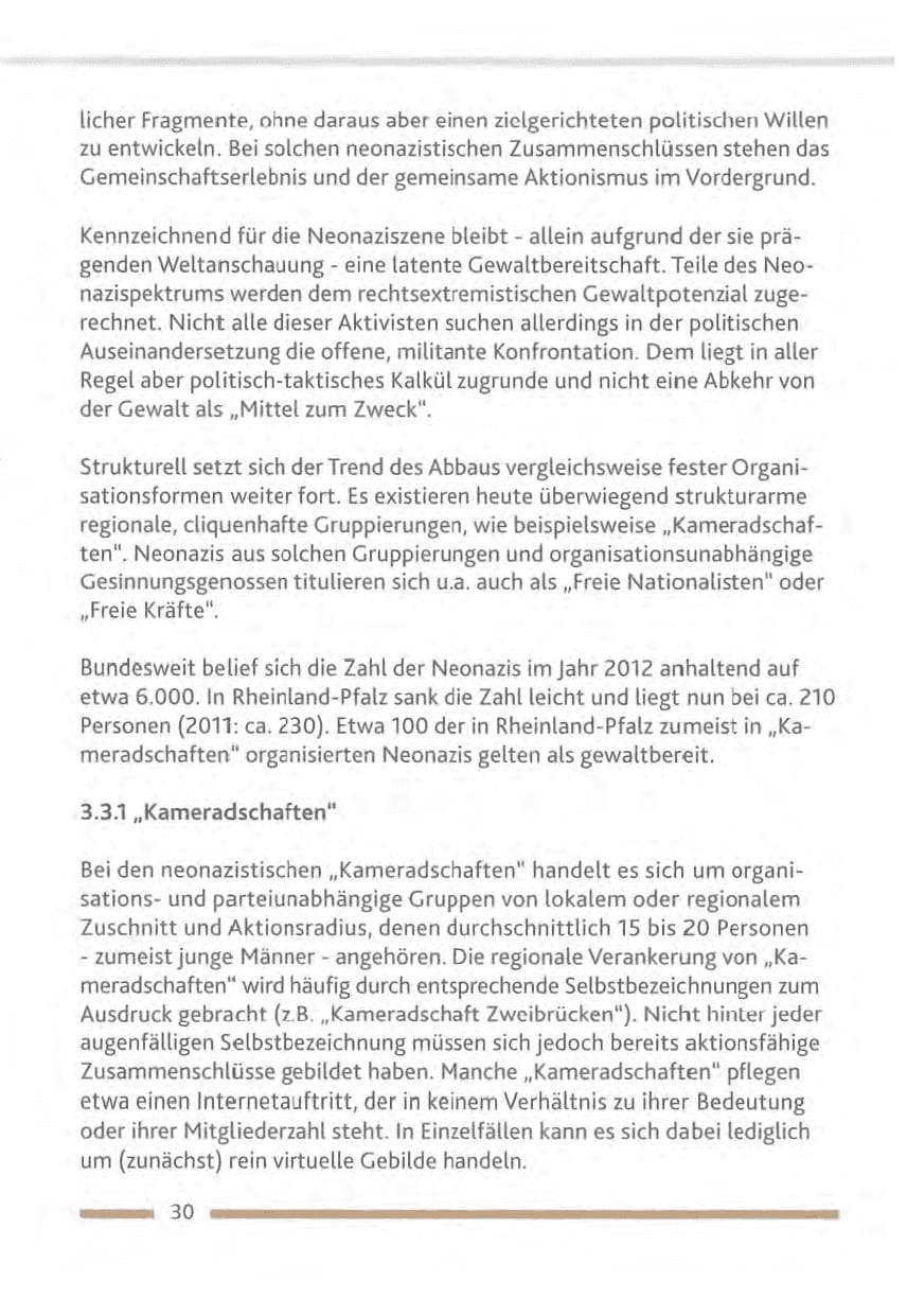 Seite 30 des Verfassungsschutzbericht 2012 Rheinland-Pfalz