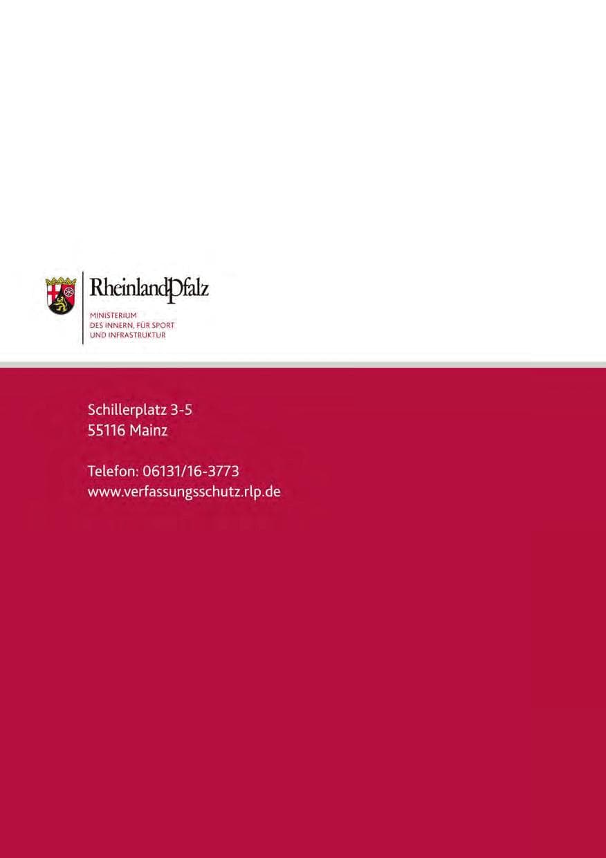 Seite 142 des Verfassungsschutzbericht 2013 Rheinland-Pfalz