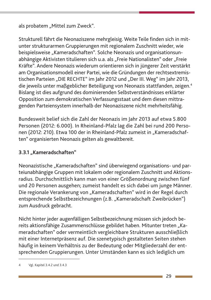 Seite 31 des Verfassungsschutzbericht 2013 Rheinland-Pfalz