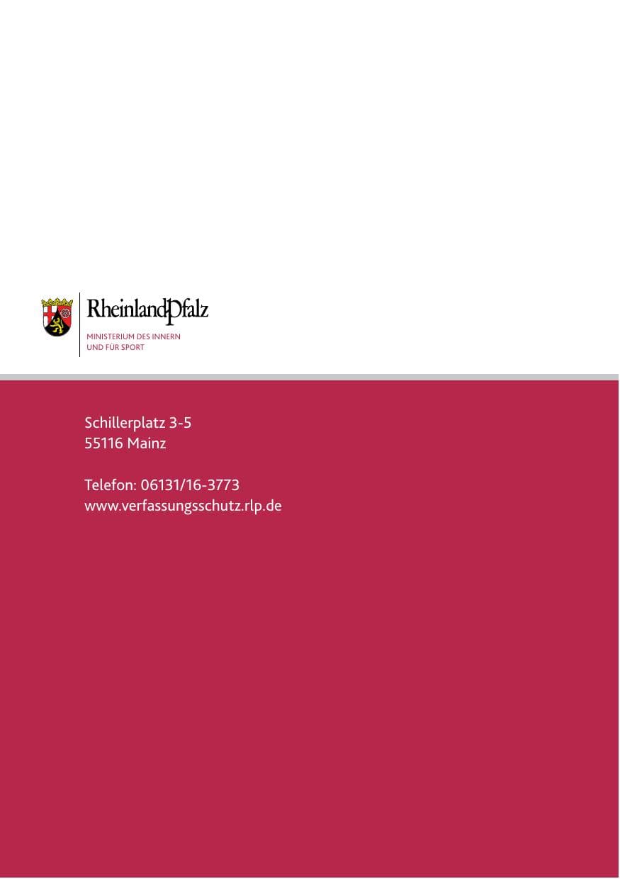 Seite 113 des Verfassungsschutzbericht 2015 Rheinland-Pfalz