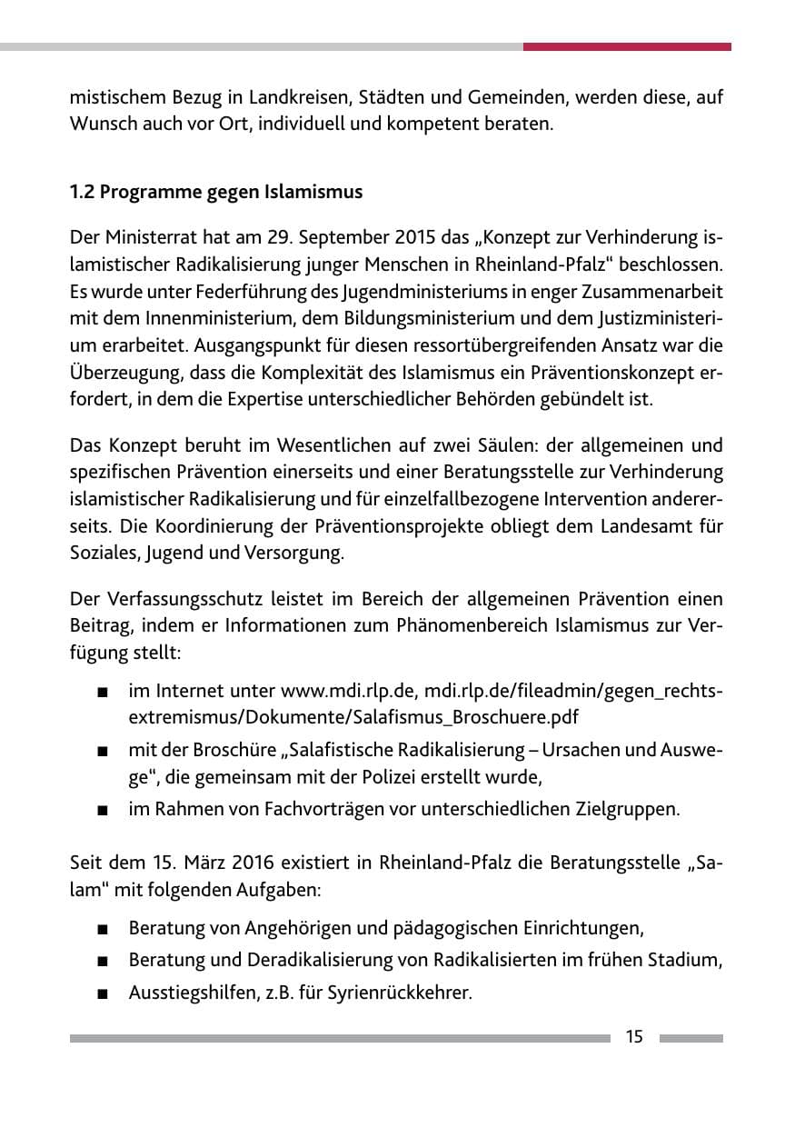 Seite 17 des Verfassungsschutzbericht 2015 Rheinland-Pfalz