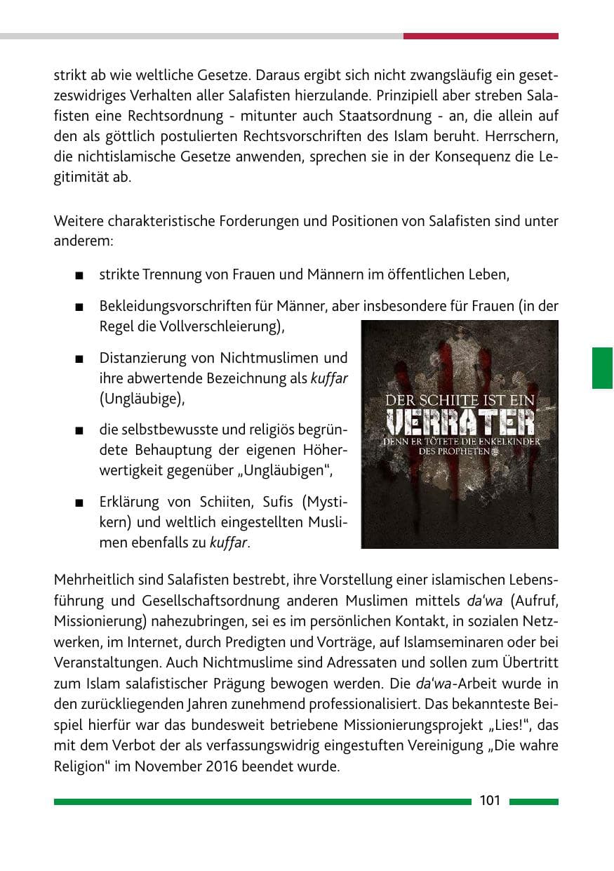 Seite 101 des Verfassungsschutzbericht 2017 Rheinland-Pfalz
