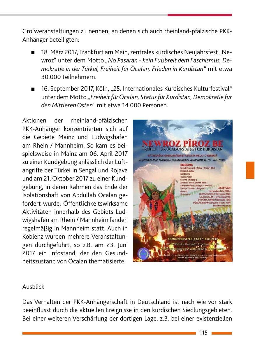 Seite 115 des Verfassungsschutzbericht 2017 Rheinland-Pfalz