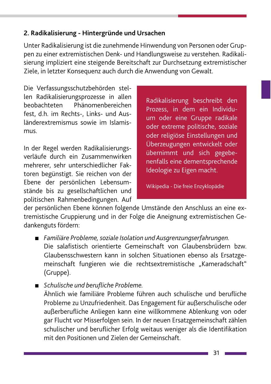 Seite 31 des Verfassungsschutzbericht 2017 Rheinland-Pfalz