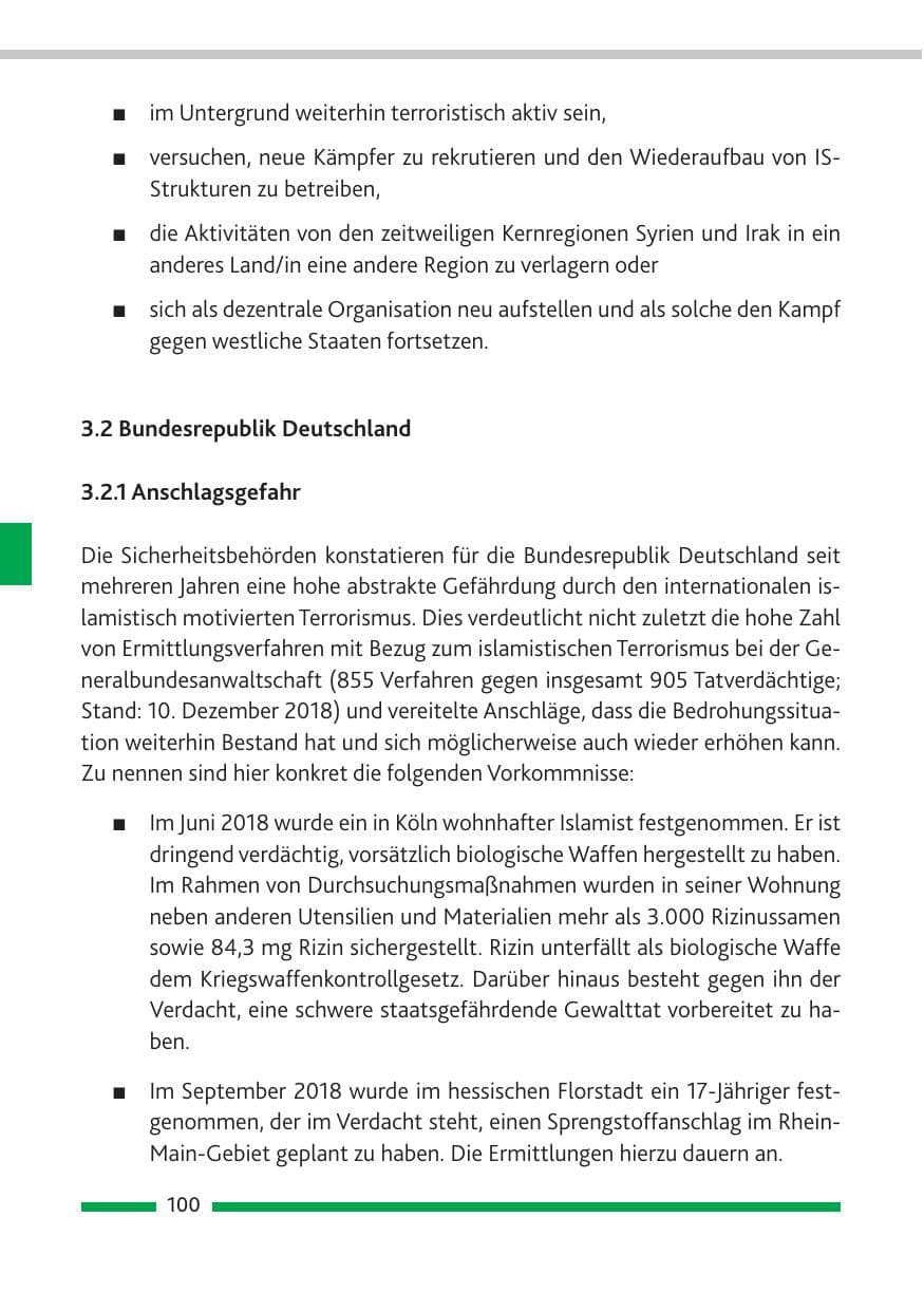 Seite 101 des Verfassungsschutzbericht 2018 Rheinland-Pfalz