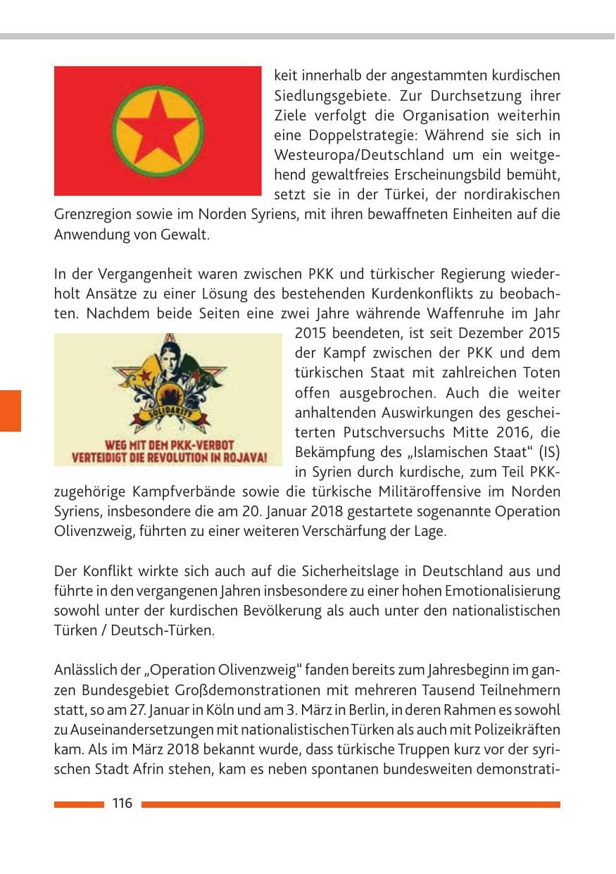 Seite 117 des Verfassungsschutzbericht 2018 Rheinland-Pfalz