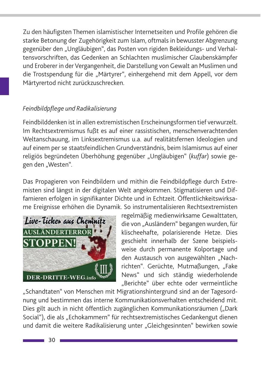 Seite 31 des Verfassungsschutzbericht 2018 Rheinland-Pfalz