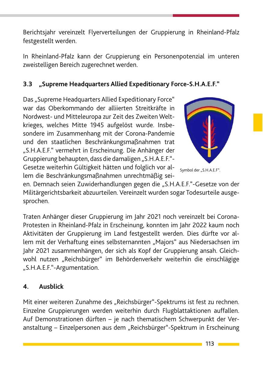 Seite 115 des Verfassungsschutzbericht 2022 Rheinland-Pfalz