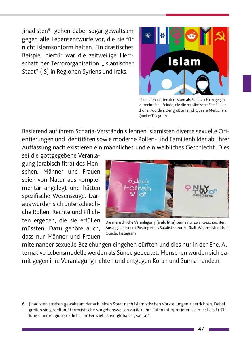 Seite 49 des Verfassungsschutzbericht 2022 Rheinland-Pfalz