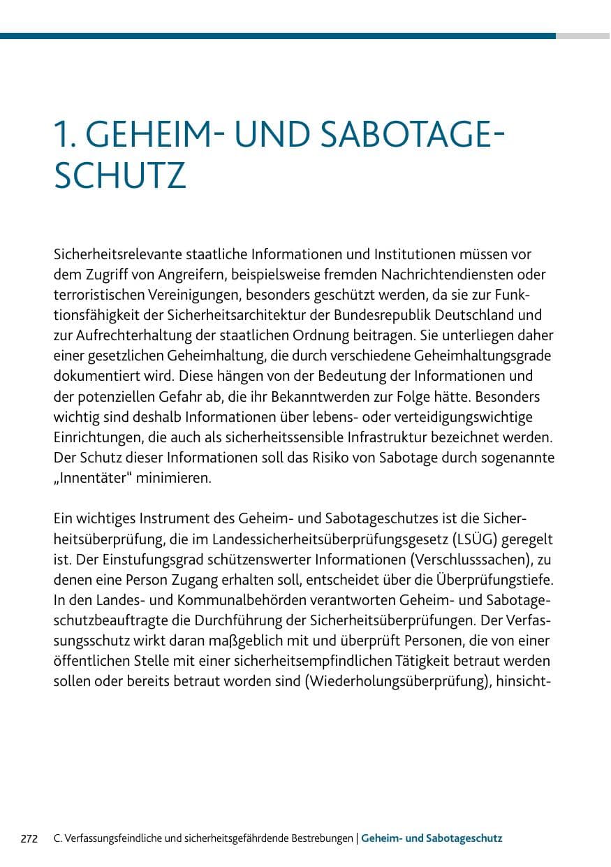 Seite 272 des Verfassungsschutzbericht 2023 Rheinland-Pfalz