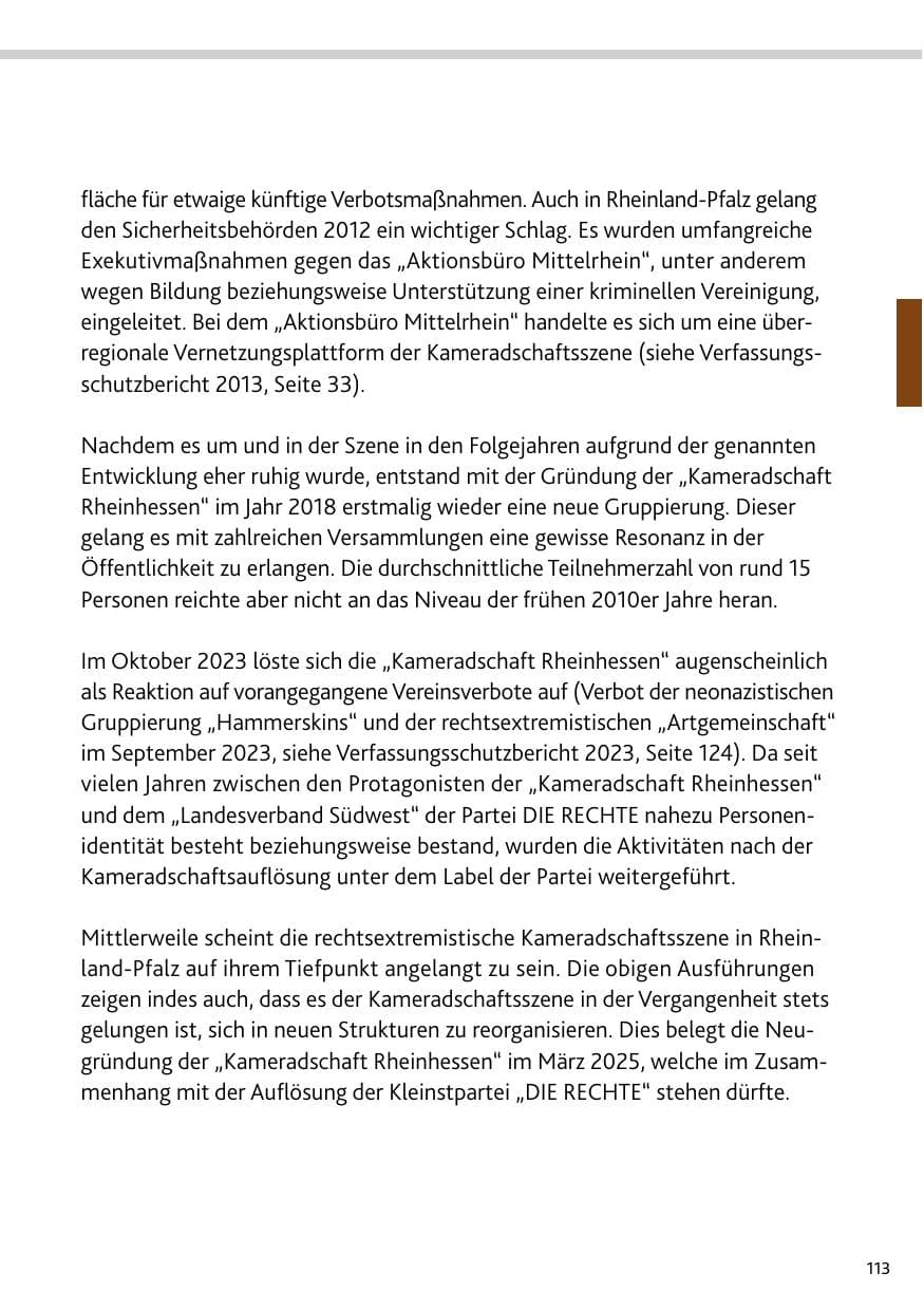 Seite 113 des Verfassungsschutzbericht 2024 Rheinland-Pfalz