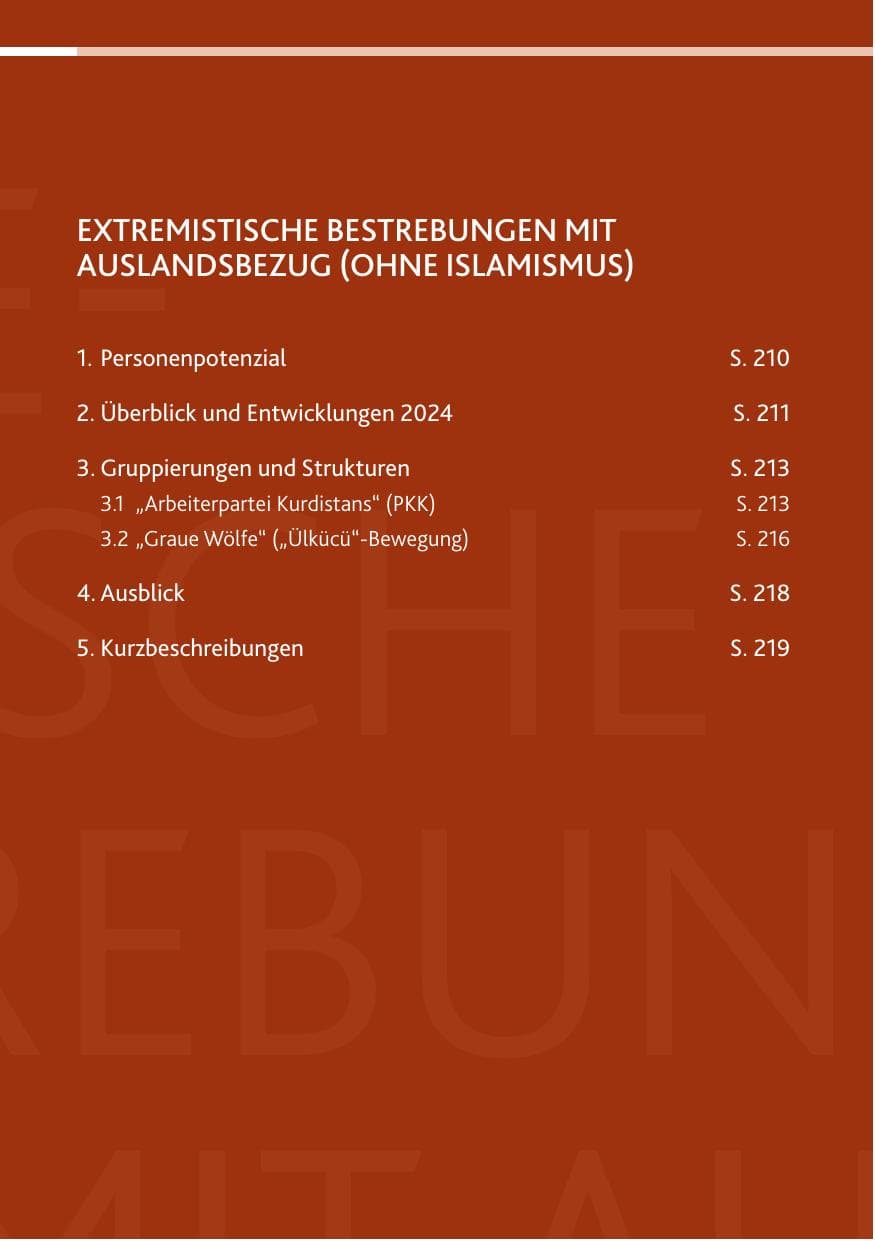 Seite 209 des Verfassungsschutzbericht 2024 Rheinland-Pfalz