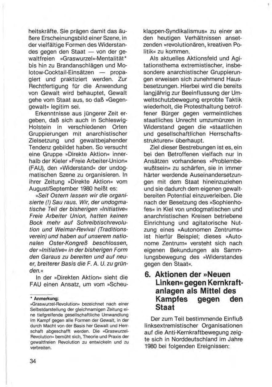 Seite 36 des Verfassungsschutzbericht 1980 Schleswig-Holstein