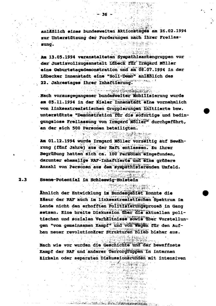 Seite 41 des Verfassungsschutzbericht 1994 Schleswig-Holstein