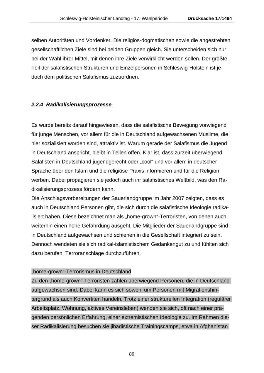 Seite 89 des Verfassungsschutzbericht 2010 Schleswig-Holstein