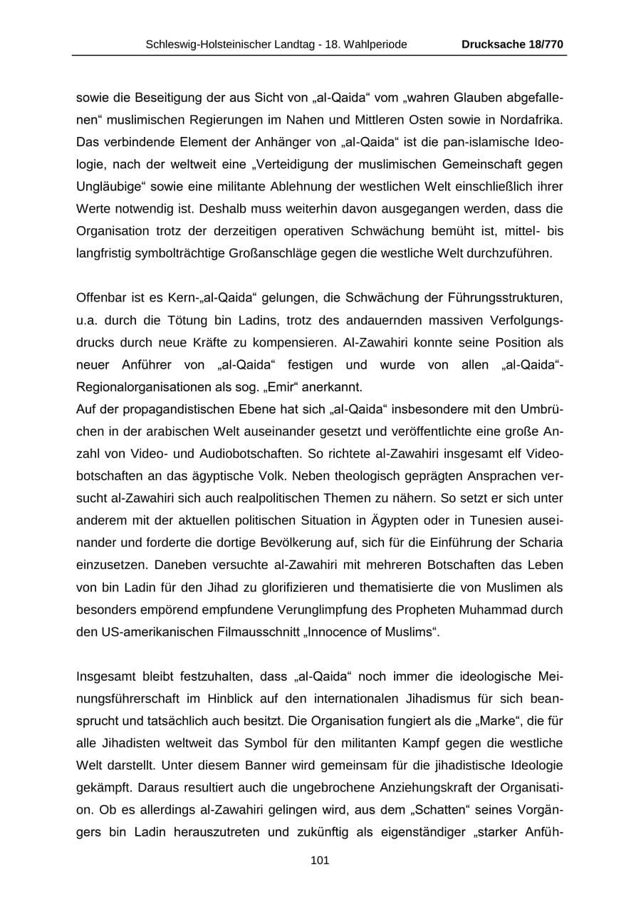 Seite 101 des Verfassungsschutzbericht 2012 Schleswig-Holstein