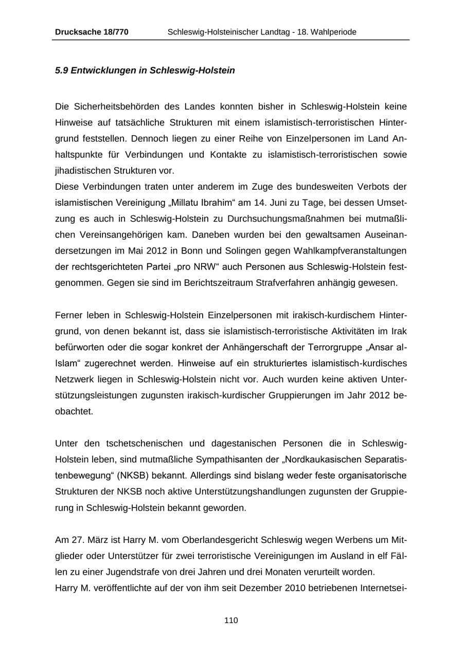 Seite 110 des Verfassungsschutzbericht 2012 Schleswig-Holstein