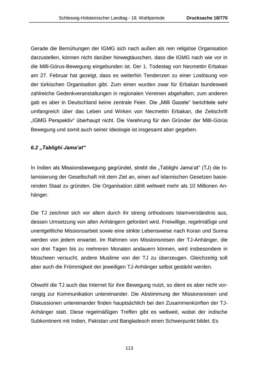 Seite 113 des Verfassungsschutzbericht 2012 Schleswig-Holstein