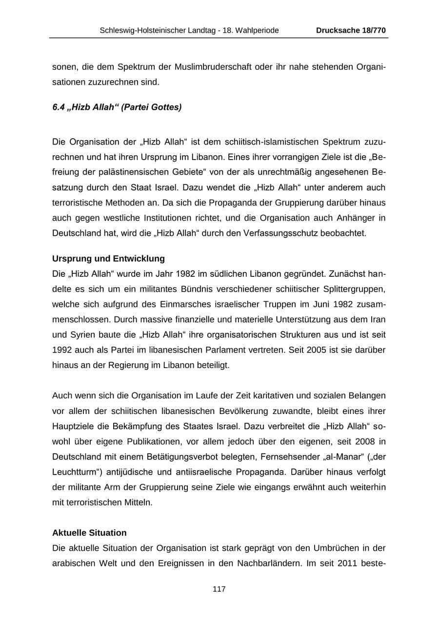 Seite 117 des Verfassungsschutzbericht 2012 Schleswig-Holstein