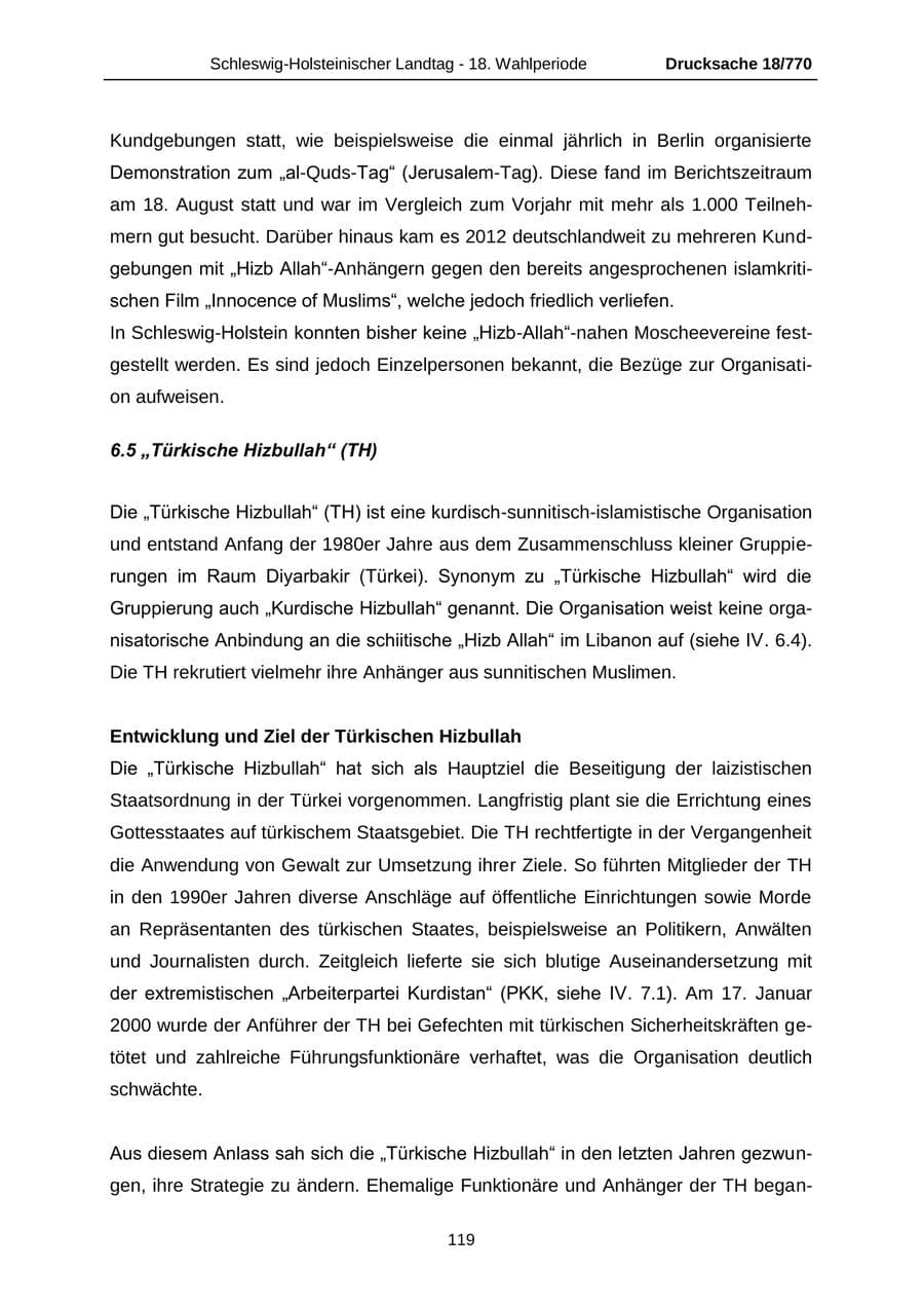 Seite 119 des Verfassungsschutzbericht 2012 Schleswig-Holstein