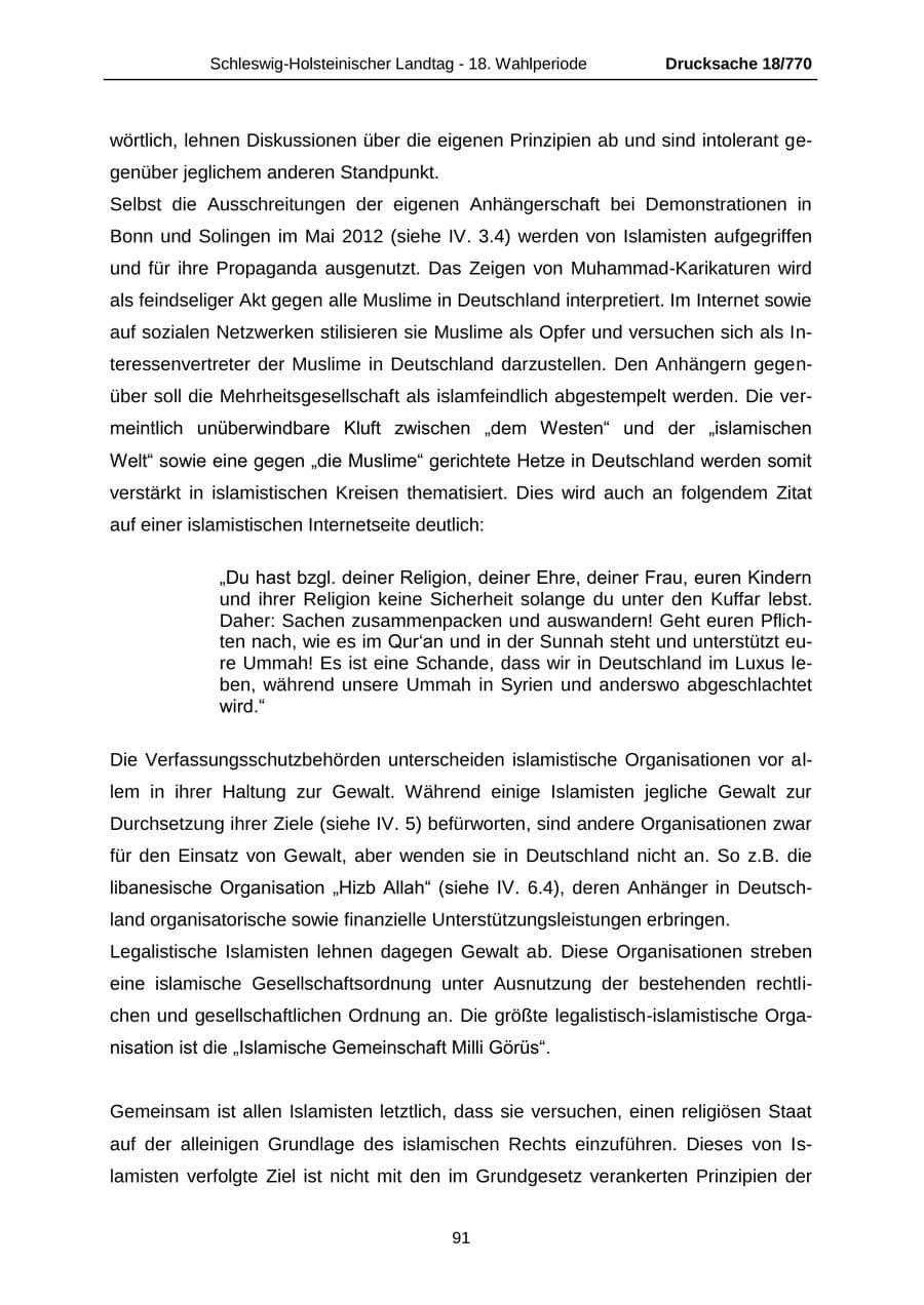 Seite 91 des Verfassungsschutzbericht 2012 Schleswig-Holstein