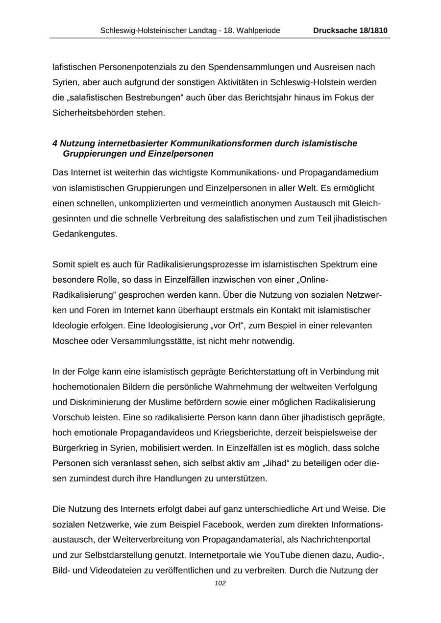 Seite 102 des Verfassungsschutzbericht 2013 Schleswig-Holstein