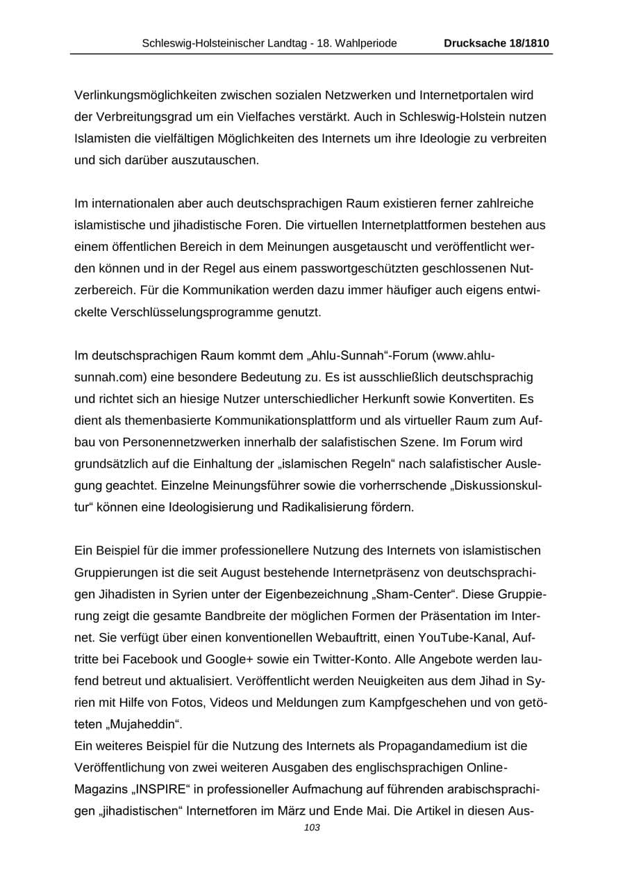 Seite 103 des Verfassungsschutzbericht 2013 Schleswig-Holstein