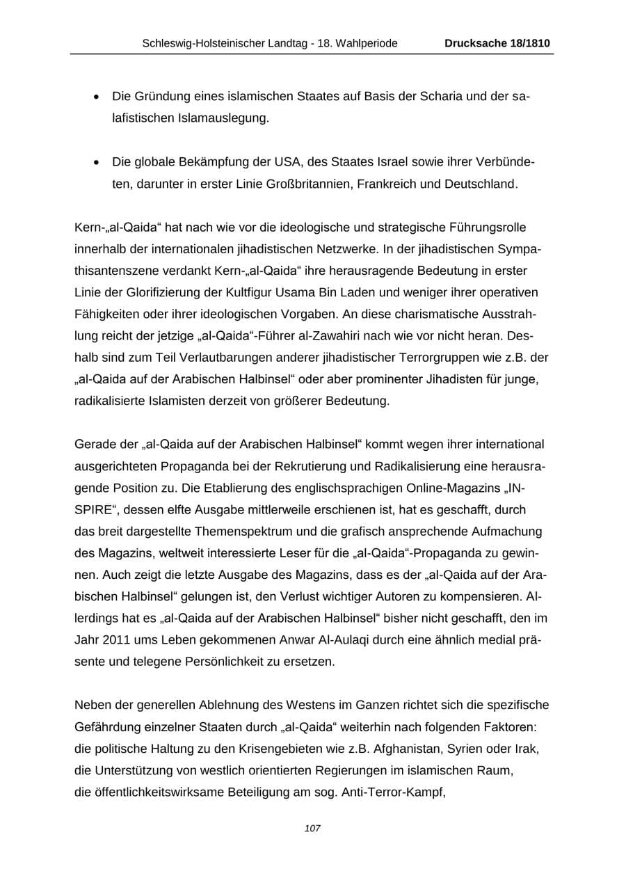 Seite 107 des Verfassungsschutzbericht 2013 Schleswig-Holstein